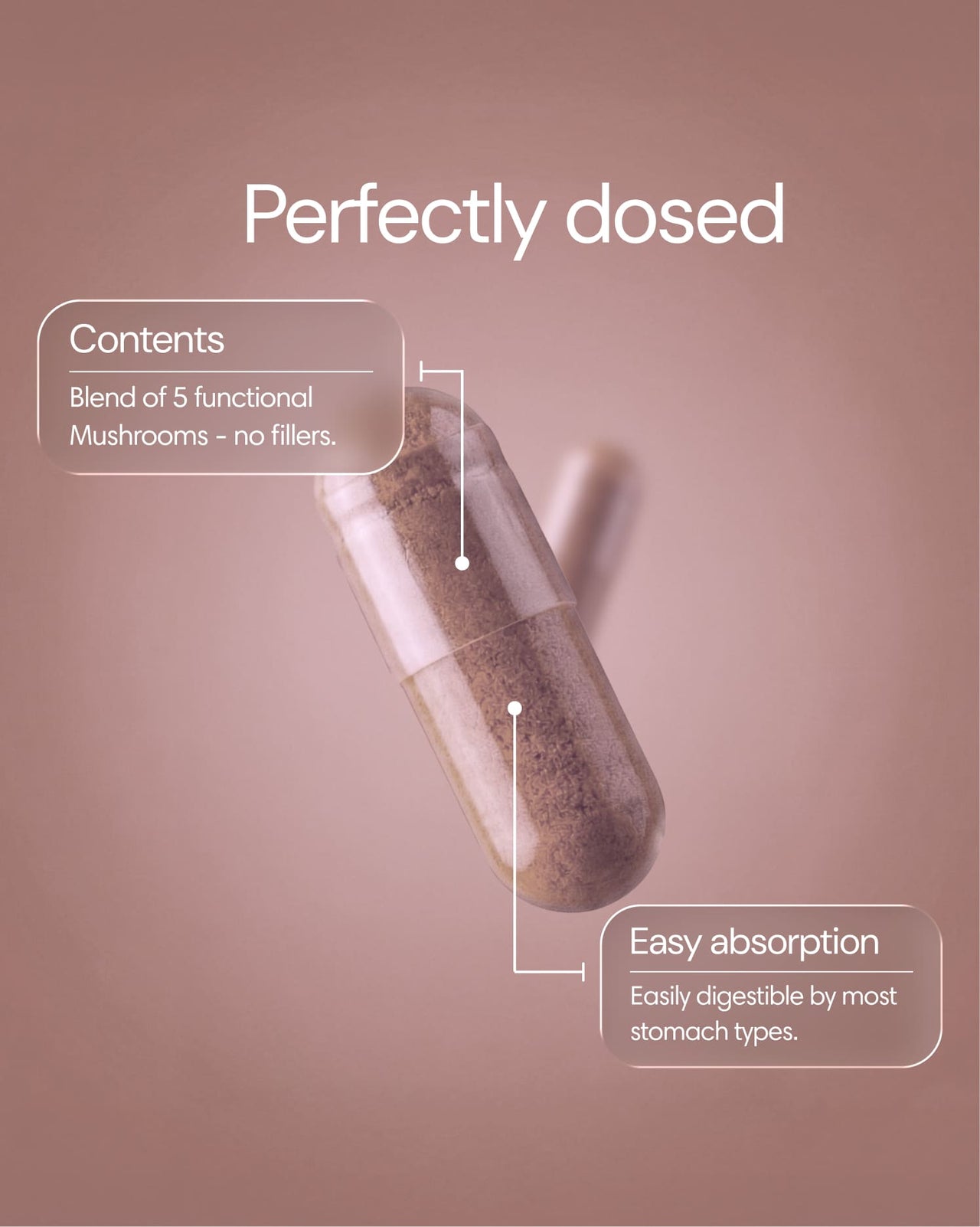  Clearly - Mushroom Mix