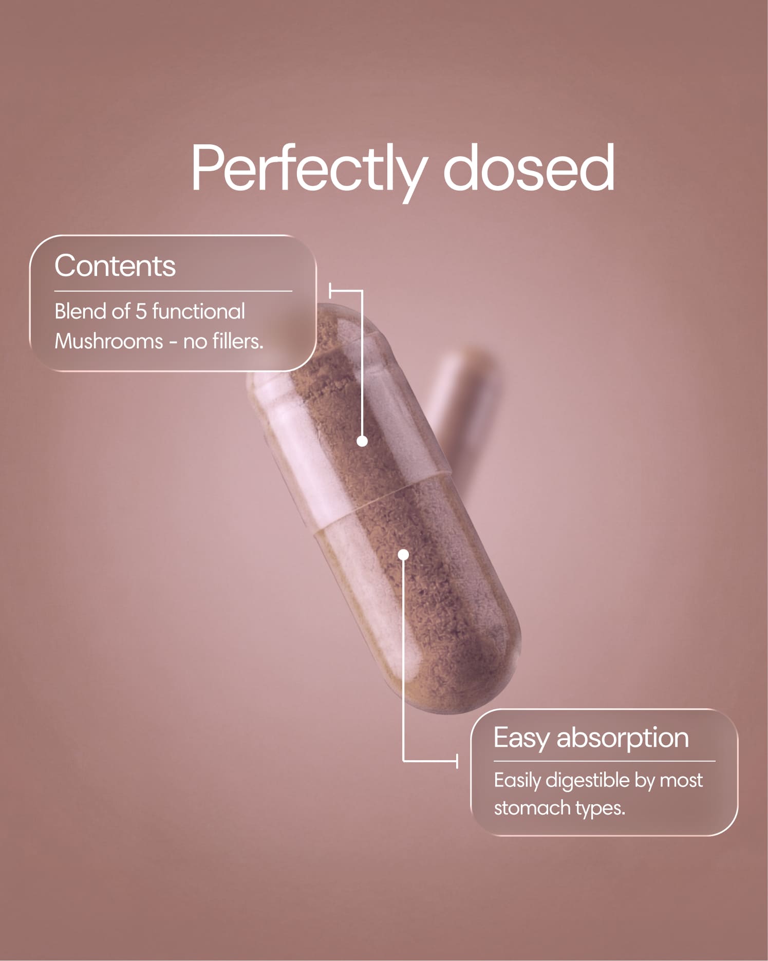  Clearly - Mushroom Mix